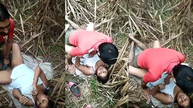 Desi Girlfriend Sharing Sex In Jungle Viral Mms Video
